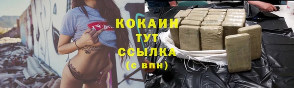 дживик Краснослободск