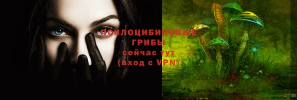 дживик Краснослободск