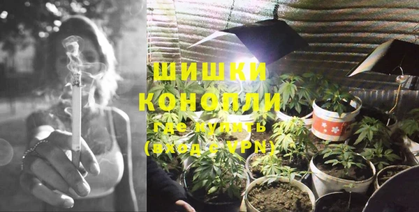 дурь Краснотурьинск