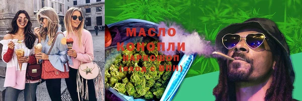 дживик Краснослободск
