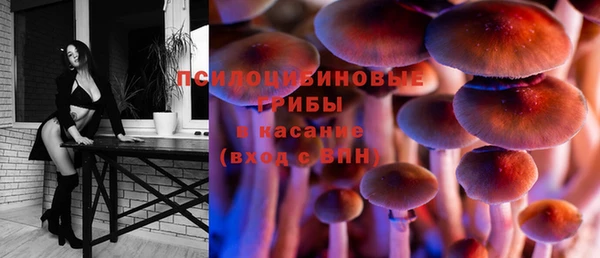 дурь Краснотурьинск
